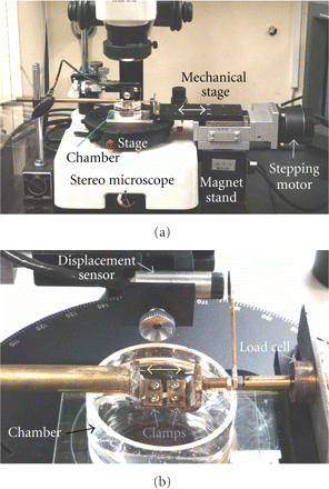 Figure 10