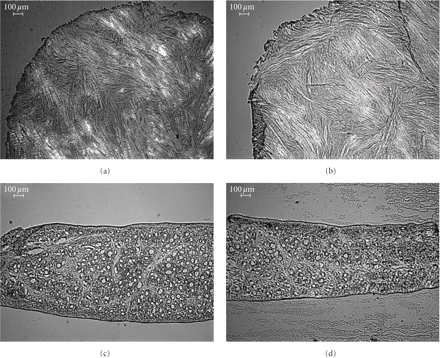 Figure 5: