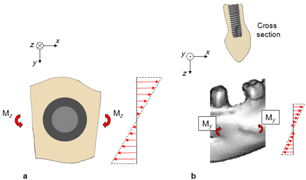 Figure 7.