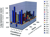   Figure 5.  