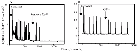   Figure 2.  