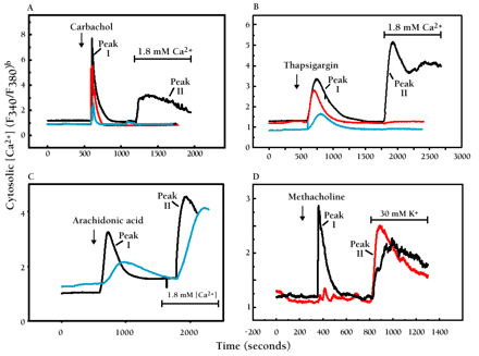   Figure 3.  