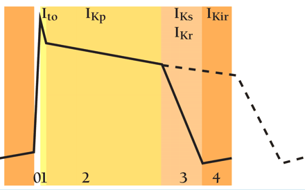   Figure:  