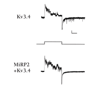   Figure 9.  