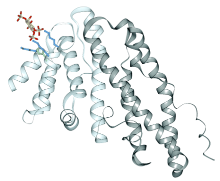   Figure 3.  