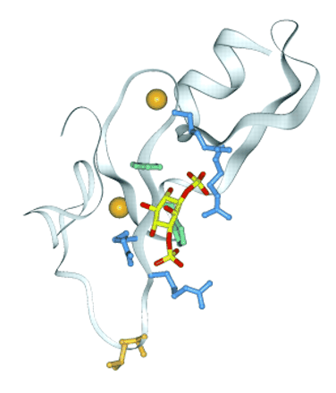   Figure 4.  