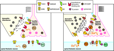   Figure 3.  