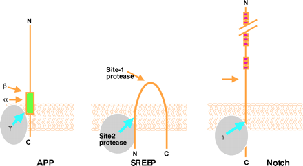   Figure 3.  