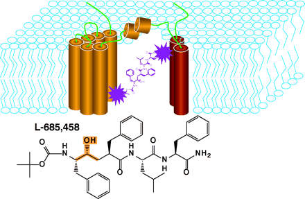   Figure 6.  