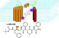   Figure 6.  