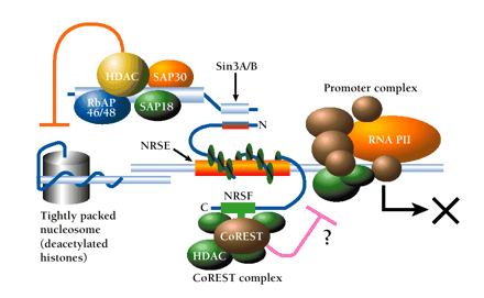   Figure 2.  