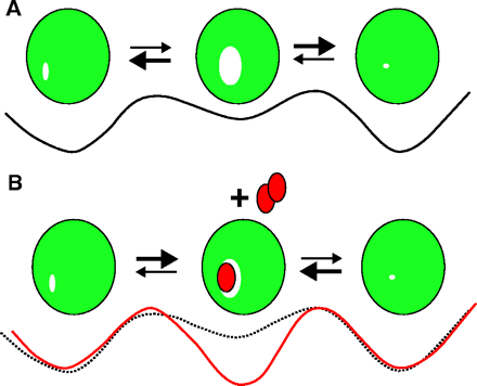   Figure 10.  