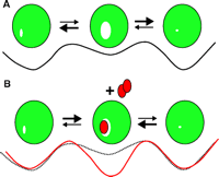   Figure 10.  