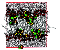   Figure 4.  