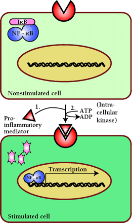   Figure 1.  