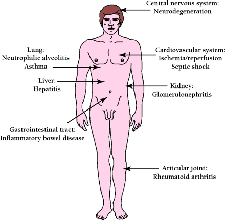   Figure 2.  