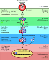   Figure 3.  