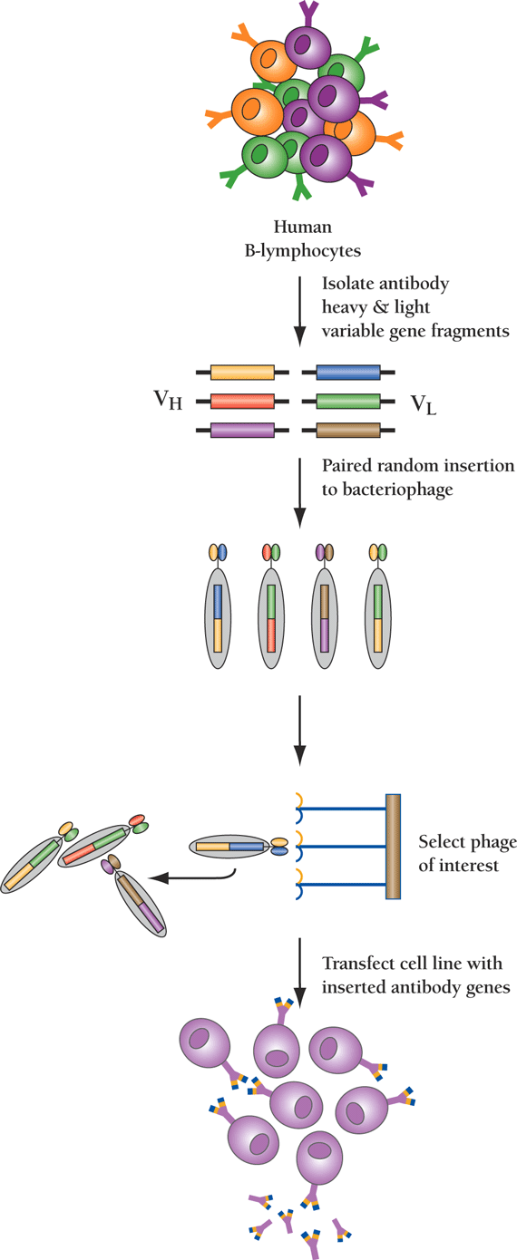   Figure 3.  