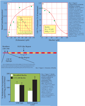   Box 1 Figure 1. Box 1 Figure 2. Box 1 Figure 3. 