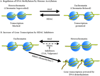   Box 2, Figure 1.  