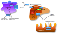   Figure 3.  