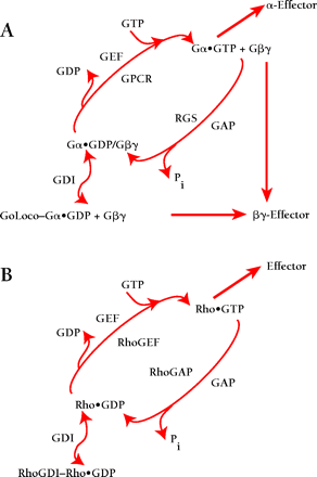   Figure 2.  