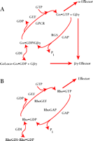   Figure 2.  