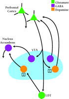   Figure 3.  