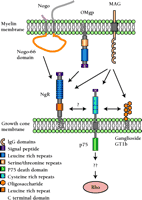   Figure 2.  