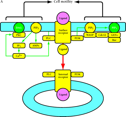   Figure 3.  