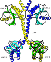   Figure 2.  