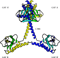   Figure 2.  