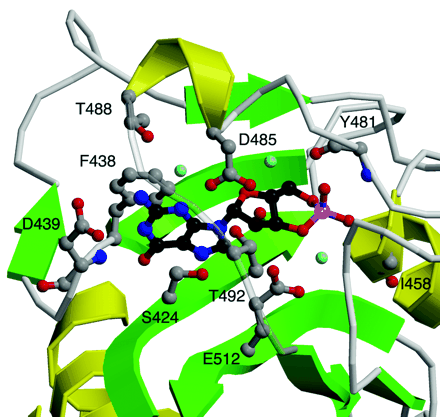   Figure 3.  