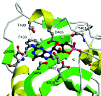   Figure 3.  