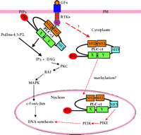   Figure 2.  