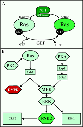   Figure 2.  