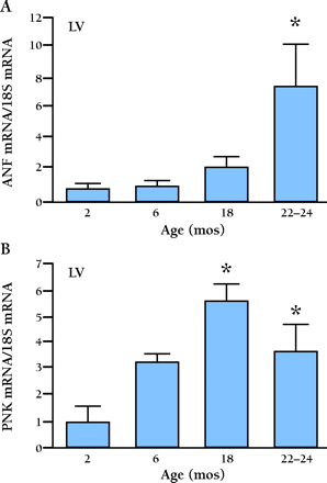   Figure 10.  