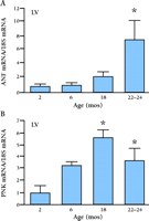   Figure 10.  