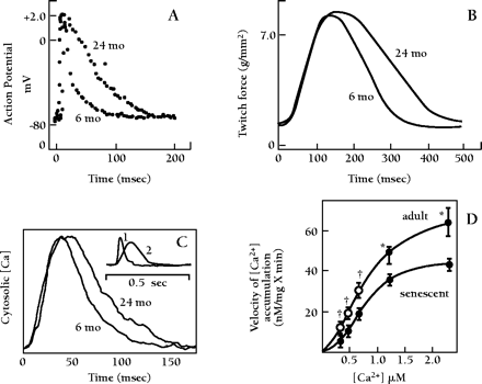   Figure 2.  