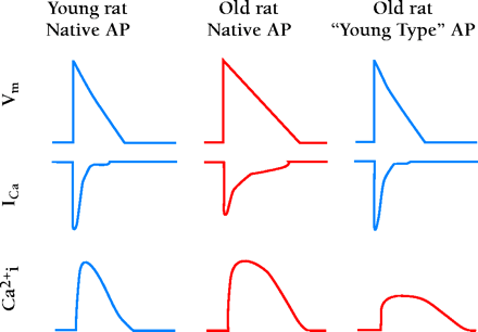   Figure 3.  