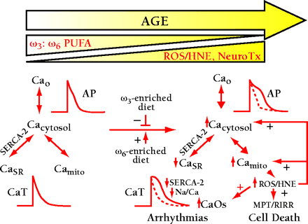   Figure 9.  