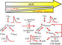   Figure 9.  