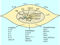   Figure 2.  