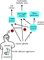   Figure 3.  