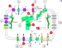   Figure 3.  