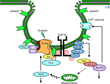   Figure 2.  