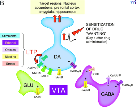   Figure 1 (continued).  