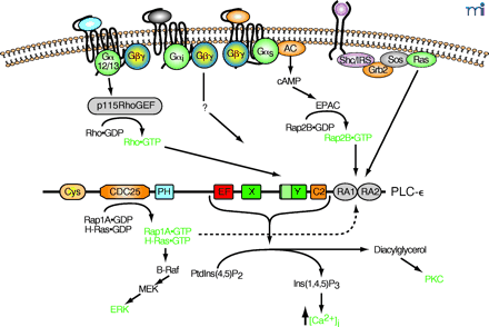   Figure 3.  