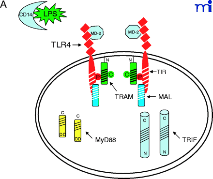   Figure 2.  