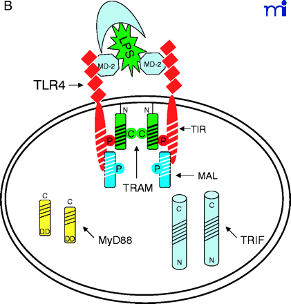   Figure 2.  